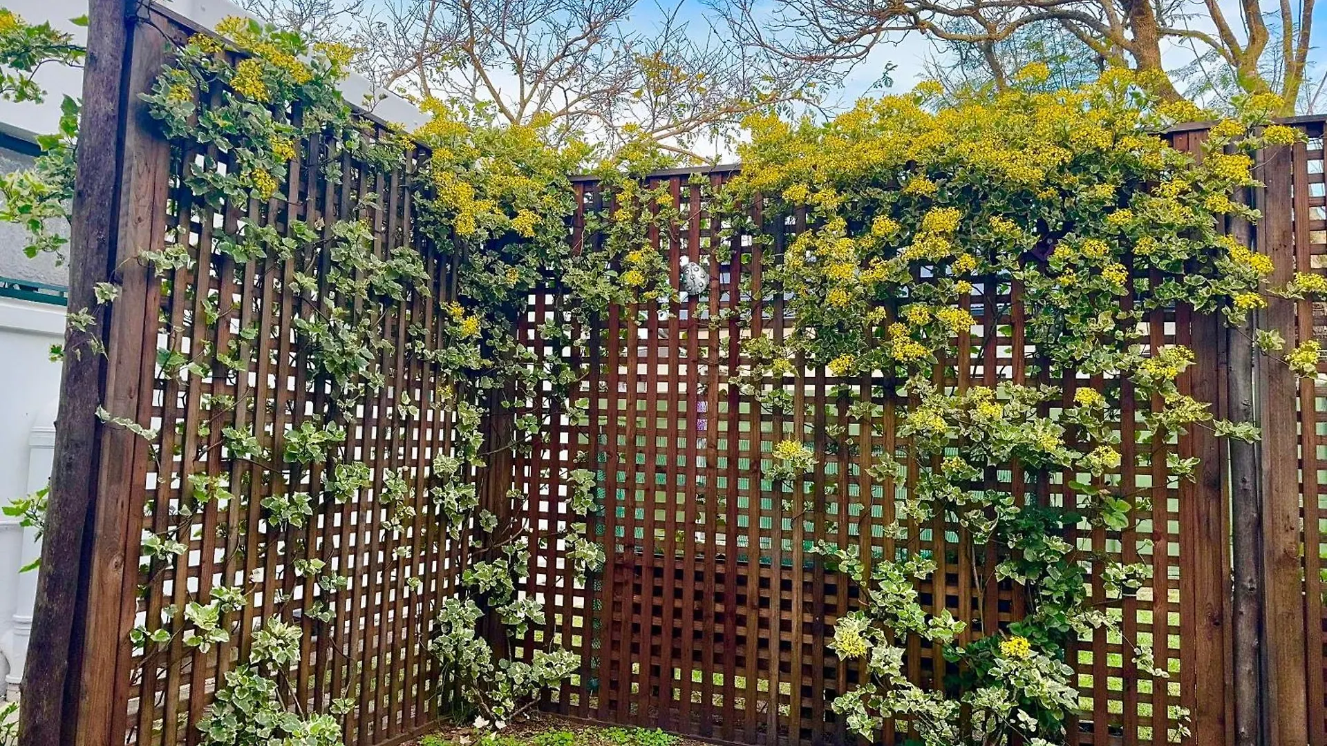 Whistlewood Guesthouse Walmer, Port Eizabeth Port Elizabeth