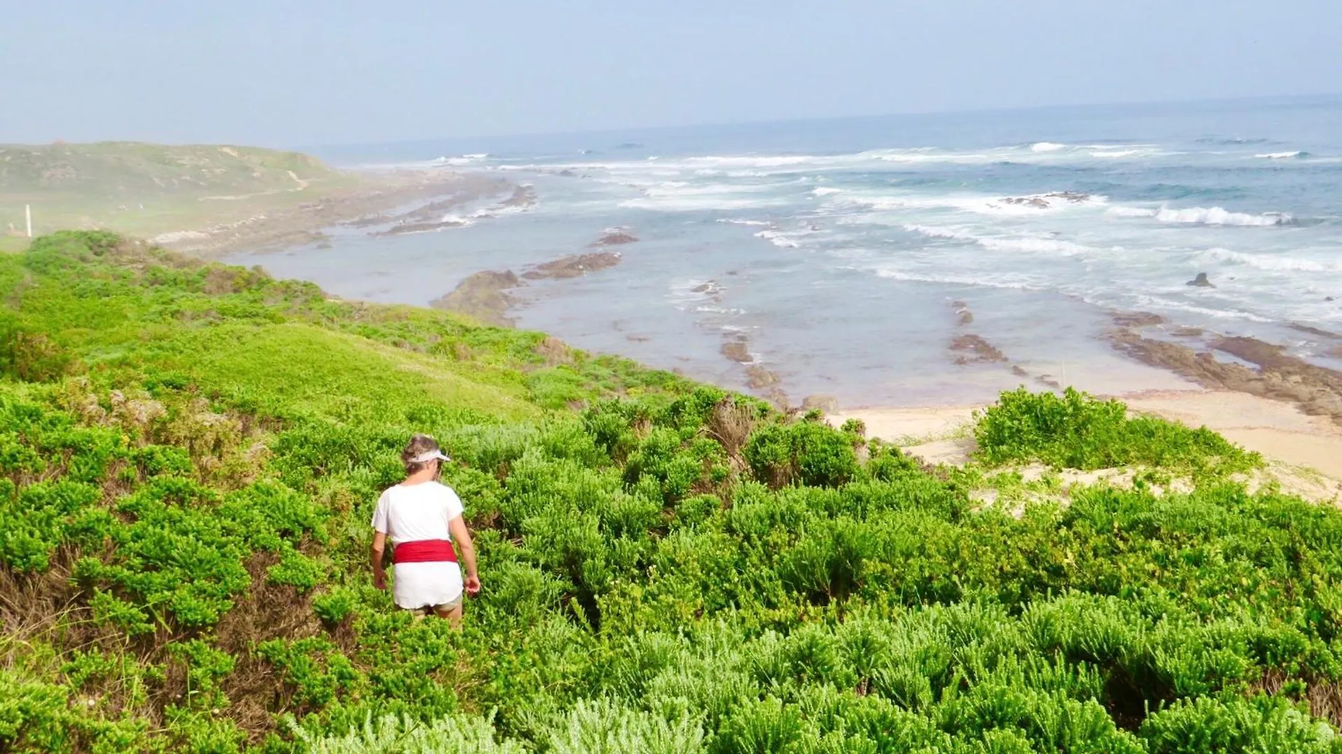 Guest house Whistlewood Guesthouse Walmer, Port Eizabeth Port Elizabeth