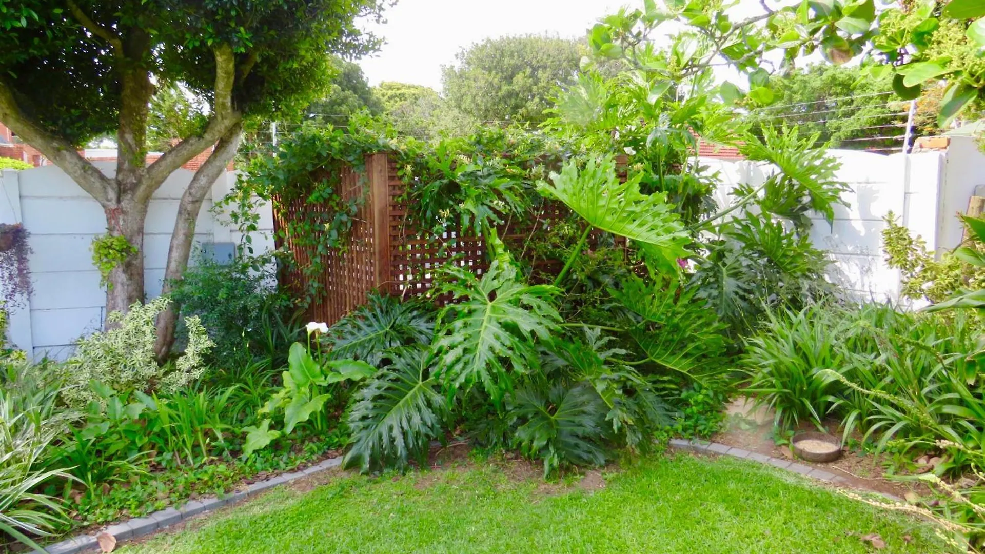 Whistlewood Guesthouse Walmer, Port Eizabeth Port Elizabeth Guest house