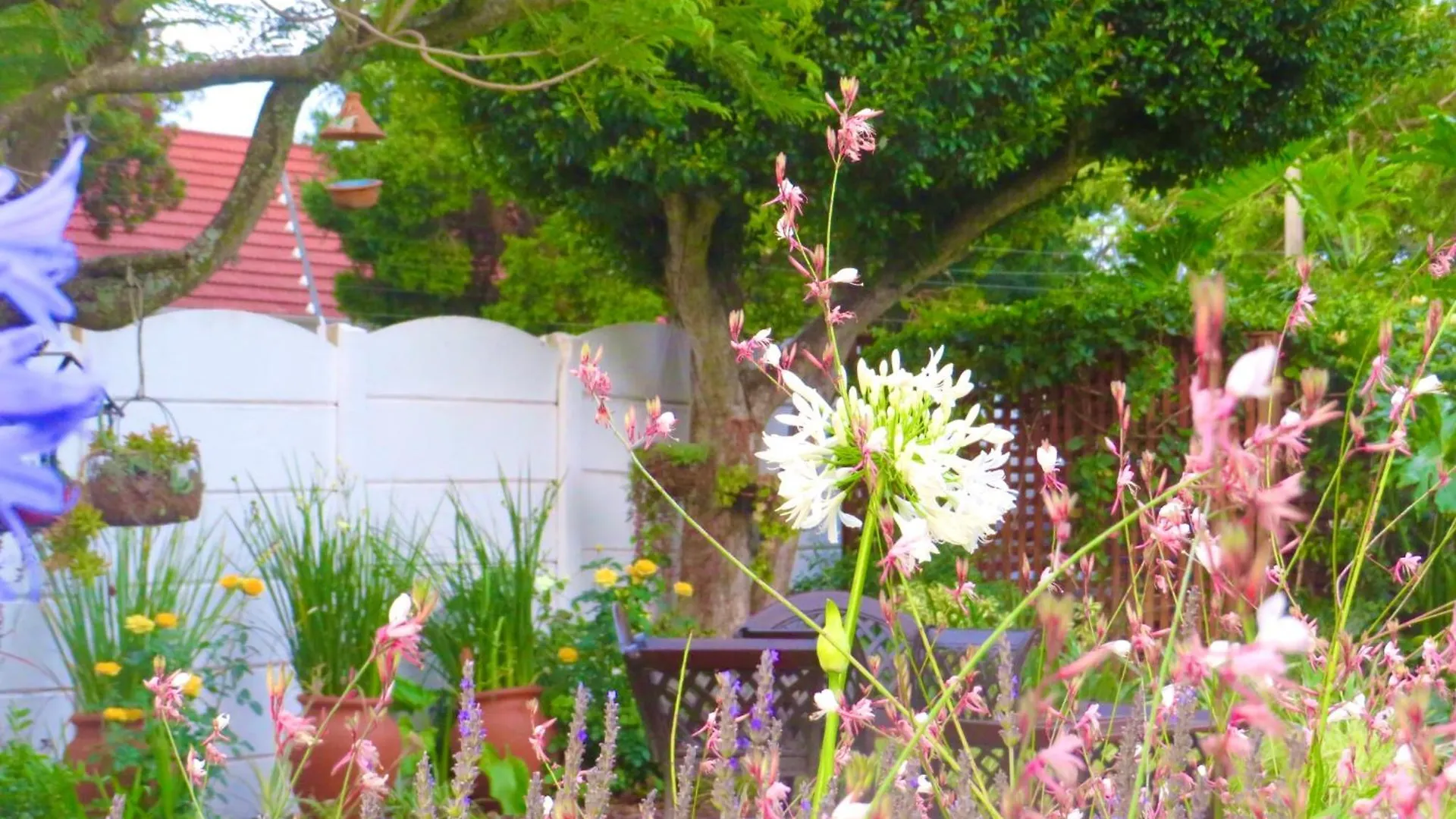 Whistlewood Guesthouse Walmer, Port Eizabeth Port Elizabeth 0*,  South Africa