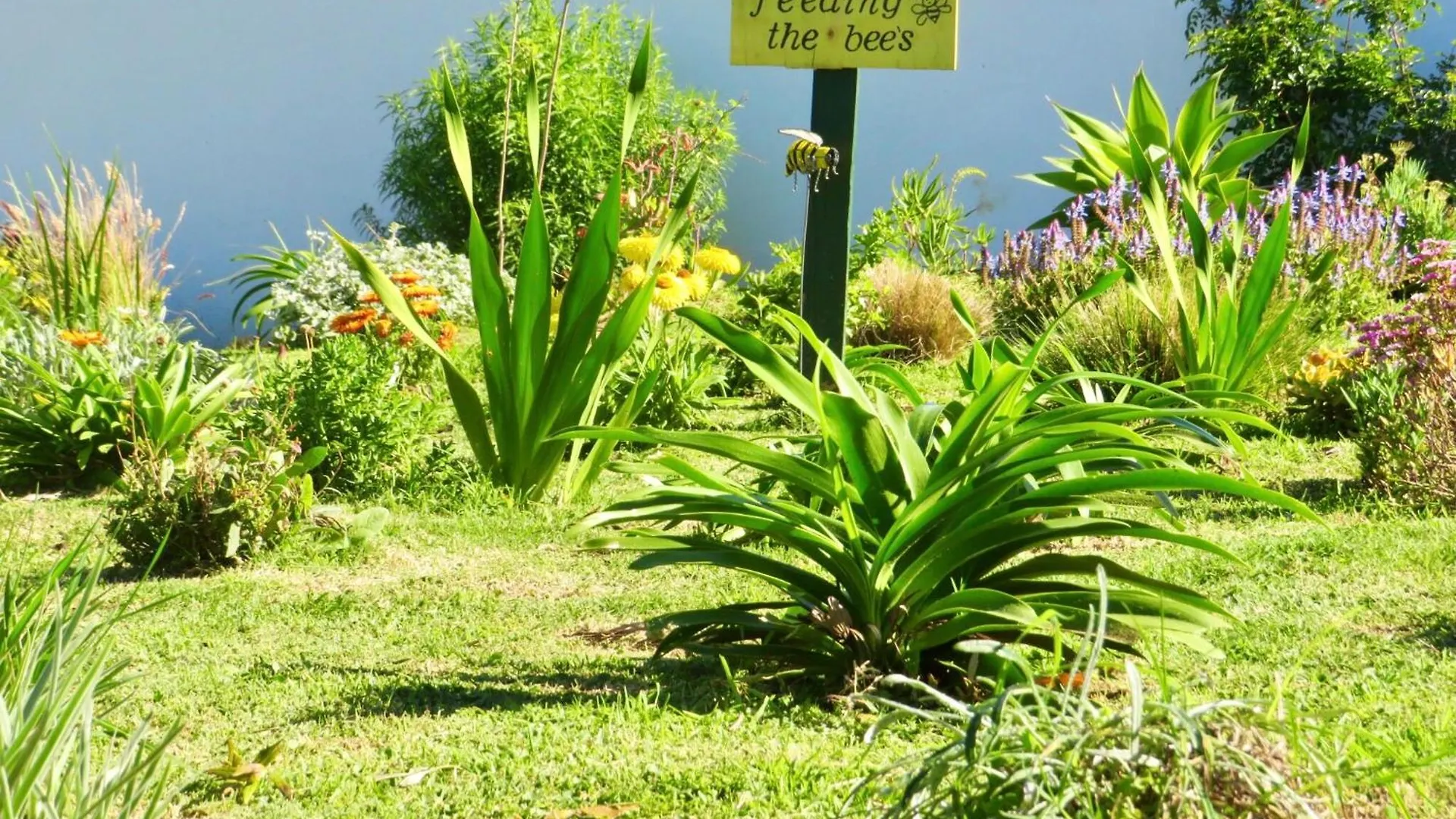 Guest house Whistlewood Guesthouse Walmer, Port Eizabeth Port Elizabeth South Africa