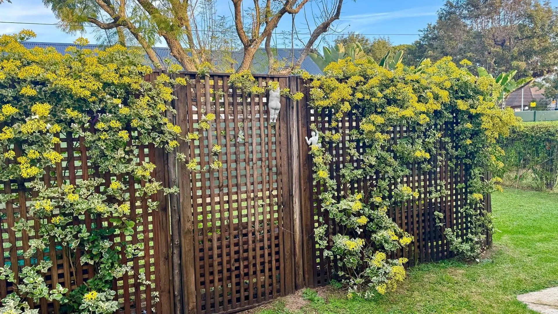 Guest house Whistlewood Guesthouse Walmer, Port Eizabeth Port Elizabeth